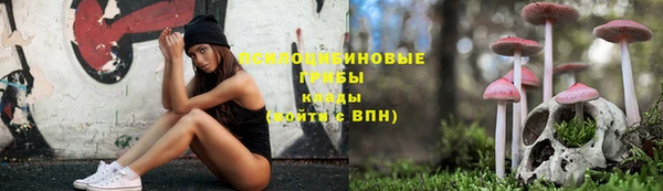ГАЛЛЮЦИНОГЕННЫЕ ГРИБЫ Волосово