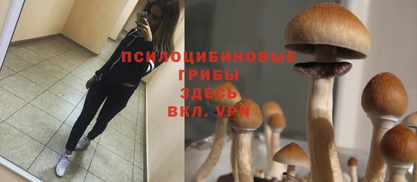 ГАЛЛЮЦИНОГЕННЫЕ ГРИБЫ Волосово