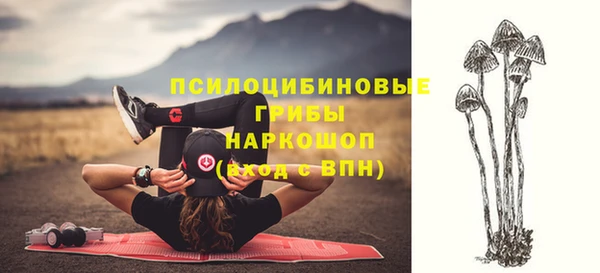 крисы Вяземский