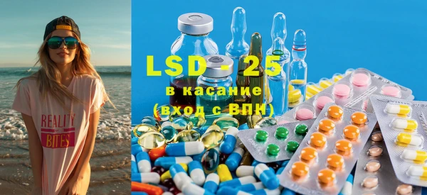 ГАЛЛЮЦИНОГЕННЫЕ ГРИБЫ Волосово